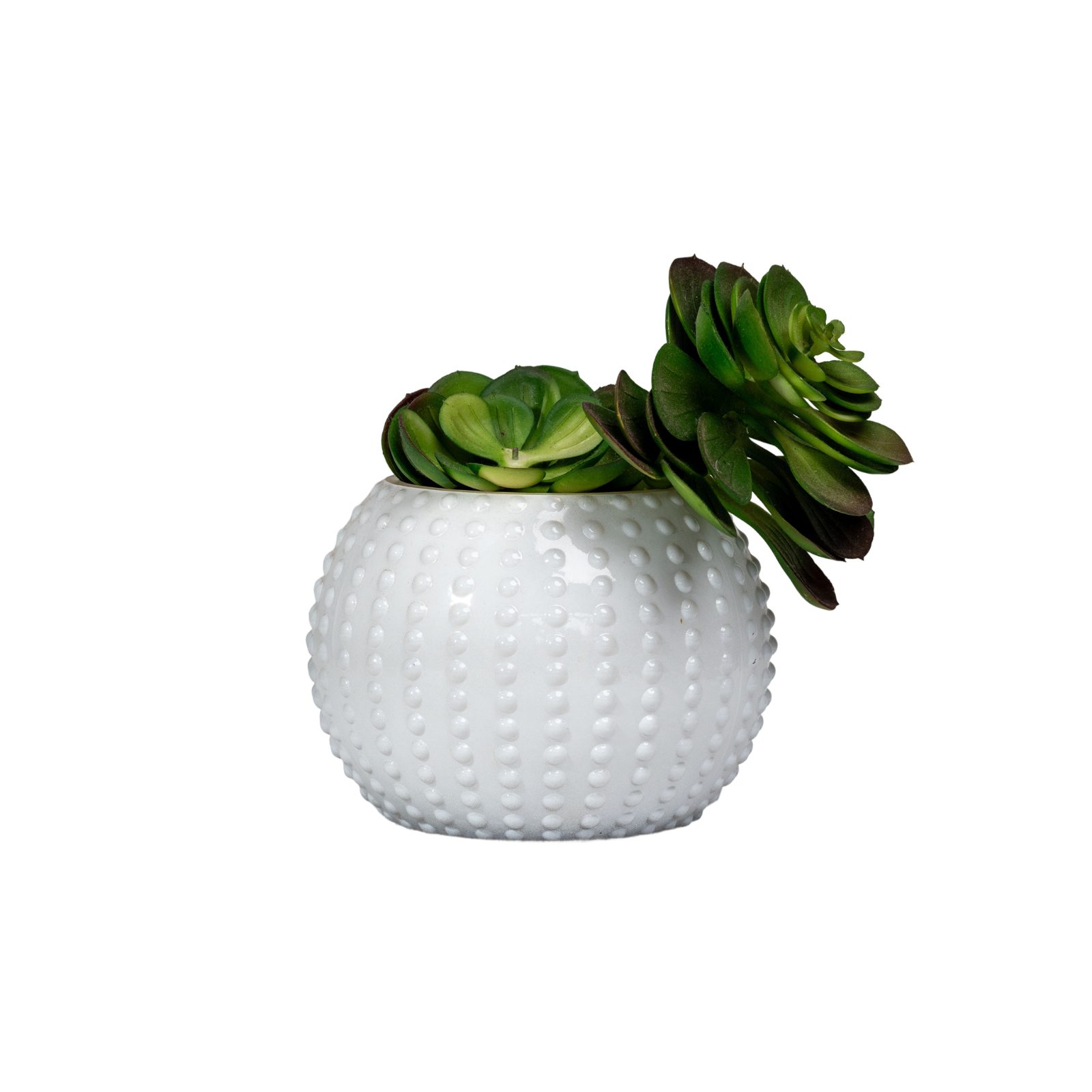 White Studded Globe Succulent Planter