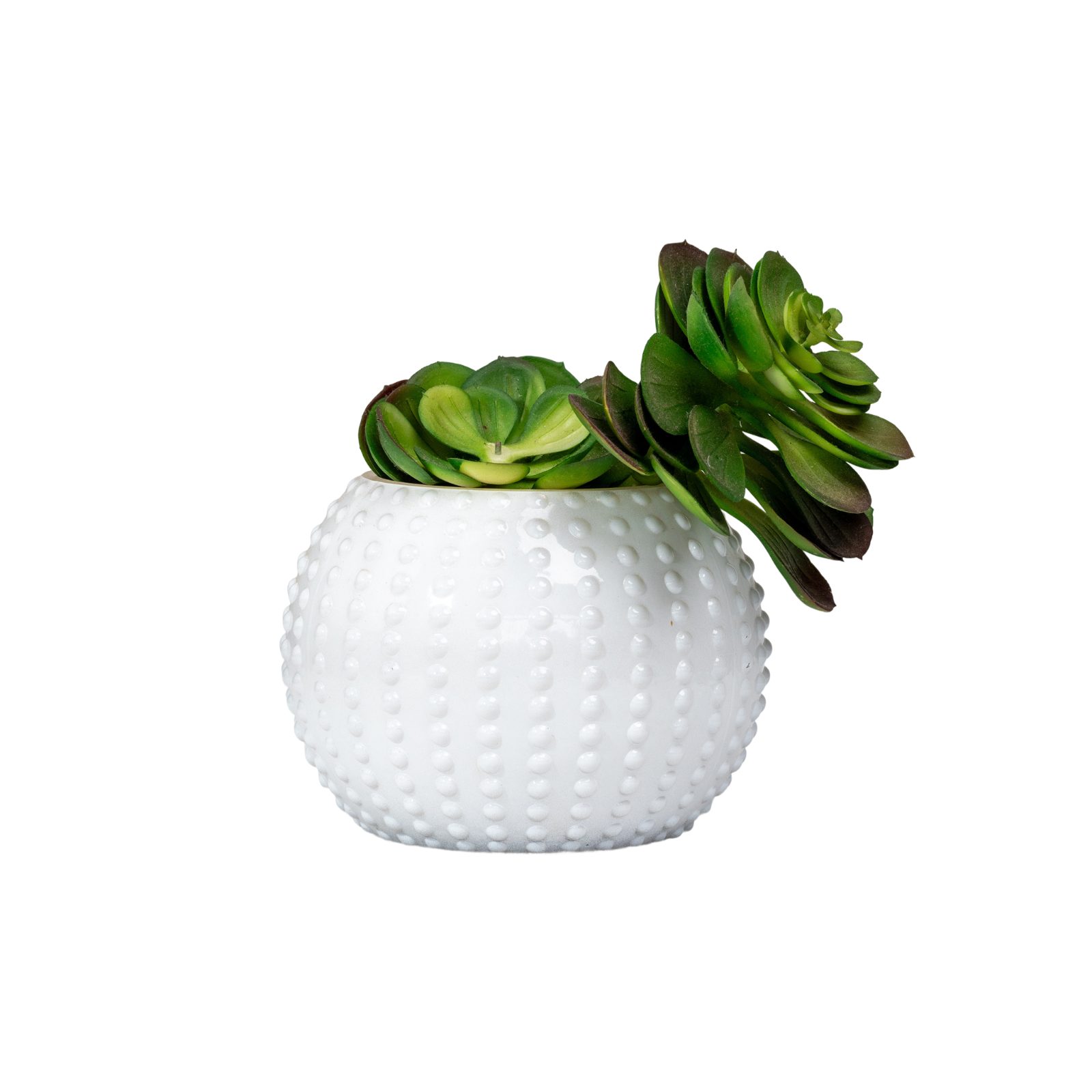 White Studded Globe Succulent Planter thumbnail 2